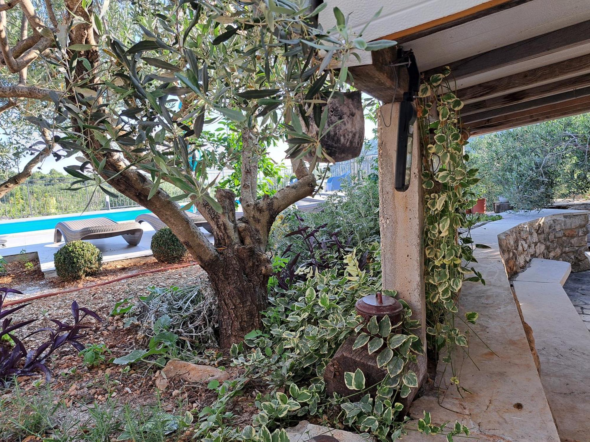 Villa Casa Mia Gornji Seget Extérieur photo
